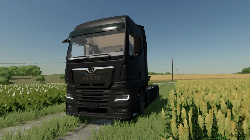 Грузовик MAN TGX 2020 v 1.8