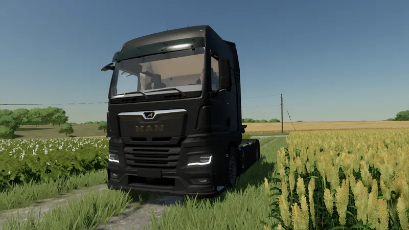 Грузовик MAN TGX 2020 v 1.8