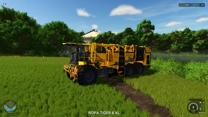 Ropa Tiger 6S Multifrüchte