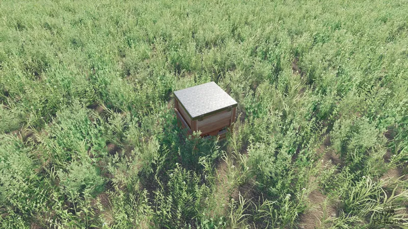 Улей v 1.0