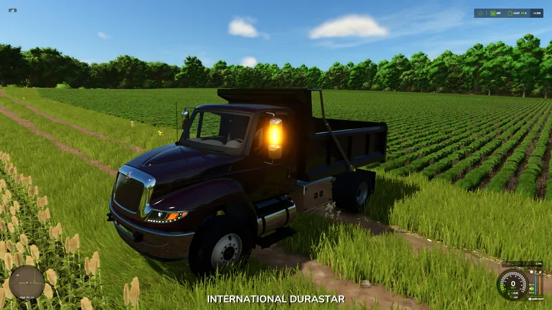 International Durastar Dump Truck v1.0.0.1