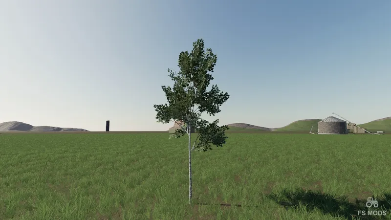 More Tree v 1.0