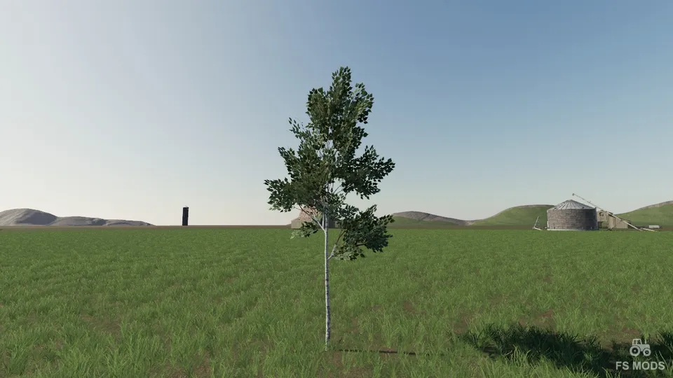 More Tree v 1.0