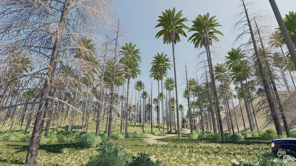 Карта Oasis Springs v 1.0